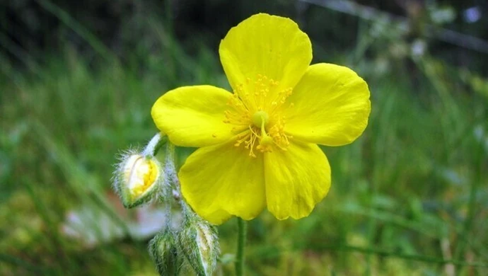 POGODA: Majówka przed nami. Co w pogodzie ?