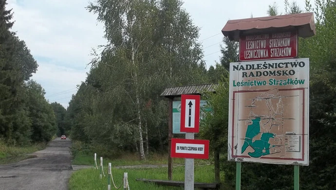 Region: Melduj się w lesie w wakacje