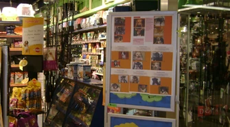  Akcja w Focus Mall "Aligator" sklep zoologiczny: Zaadoptuj szczeniaczka