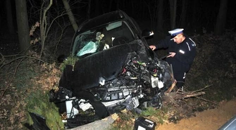 Samochód uderzył w drzewo - ranny 8-latek