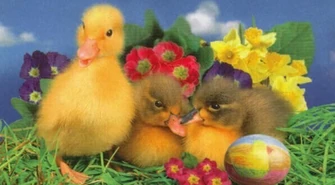 POGODA : Wstępna prognoza pogody na weekend.