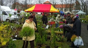 W Targach nie przeszkodził nawet deszcz