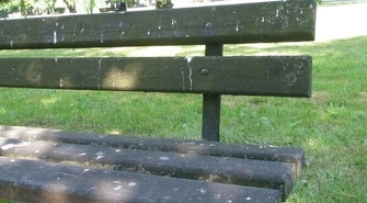 Wreszcie uporządkują park?