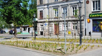 W Piotrkowie mamy coraz więcej zieleni