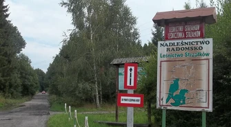 Region: Melduj się w lesie w wakacje