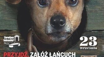 Zrywamy łańcuchy: Bądź bratem – nie katem!