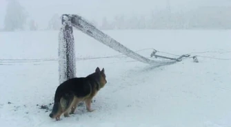 Setki osób bez prądu - usuwają awarie