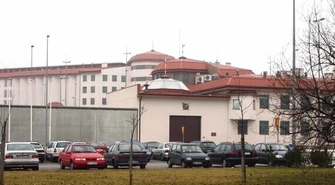 Uprawiają marchewkę, malują ściany...