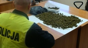Skonfiskowali blisko kilogram marihuany