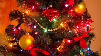 Piotrkowianie częściej ubierają żywą choinkę?