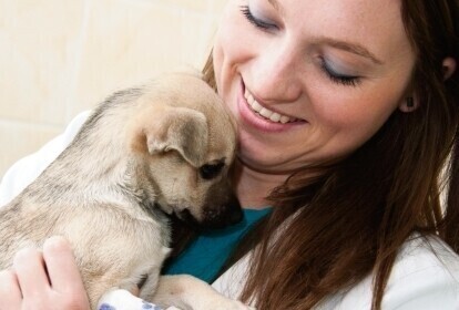 Schronisko ma własny gabinet weterynaryjny