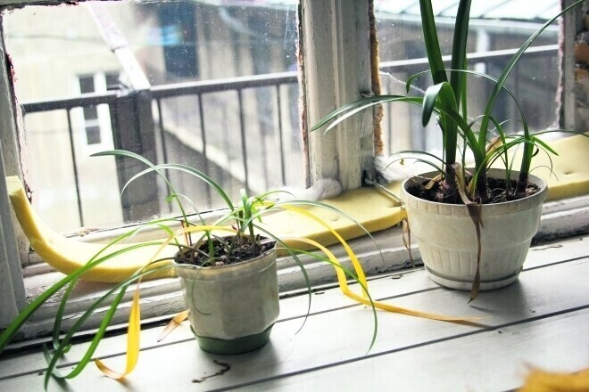 Zdjęcie 4: Oni mieszkają w nieludzkich warunkach