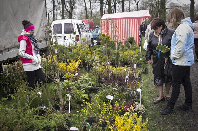 Pamiętajmy o ogrodach... - VIII Piotrkowskie Targi Ogrodnicze