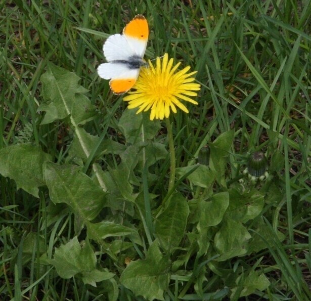 Pogoda na długi weekend