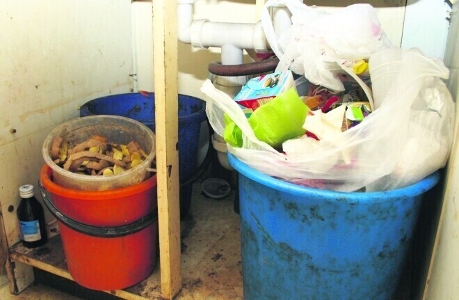 Czy będziesz segrerować odpady