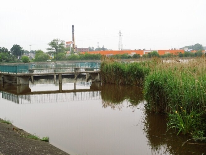 Strażacy walczą z pływającą wyspą