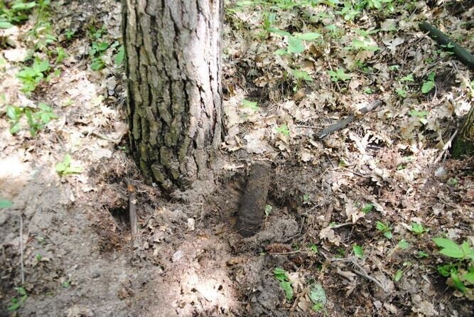 Pozostałości po II Wojnie Światowej