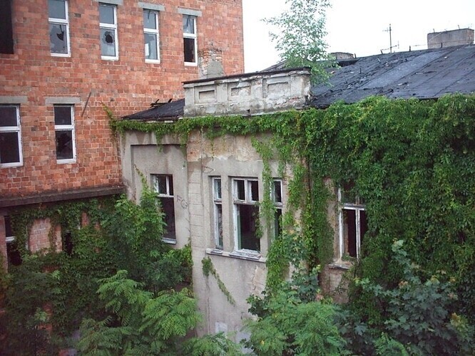 Zdjęcie 1: Niszczeje budynek po dawnym szpitalu 