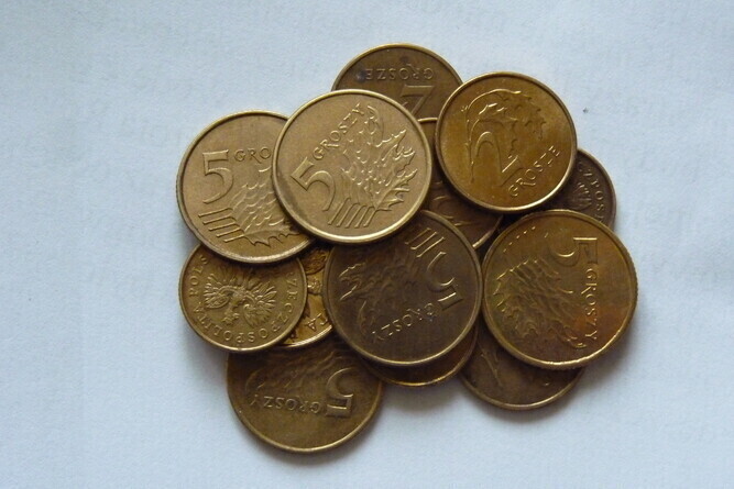 Kolonie z Polskim Czerwonym Krzyżem