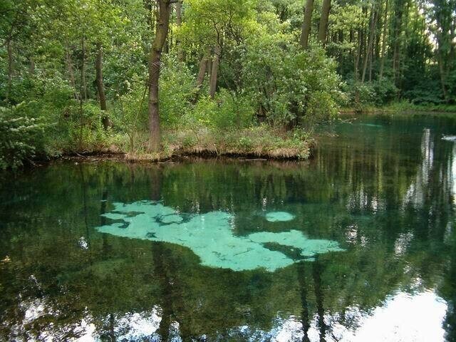 Czy Niebieskie źródła zostaną jednym z cudów Polski