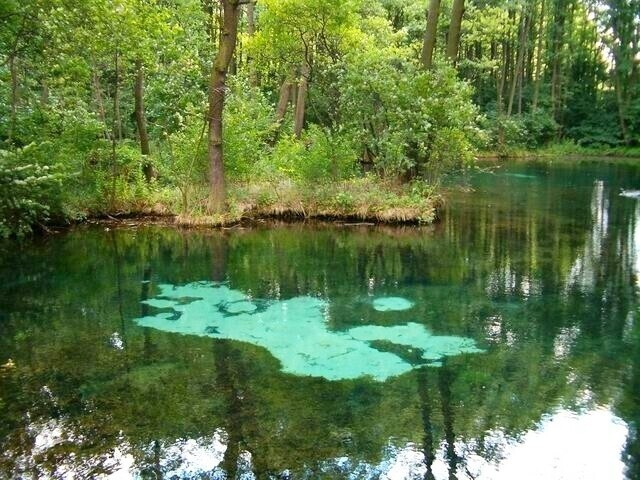 Tomaszowskie źródła Nowym Cudem Polski