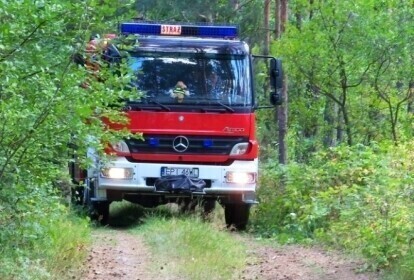 Zauważyłeś gniazdo owadów wezwij straż pożarną