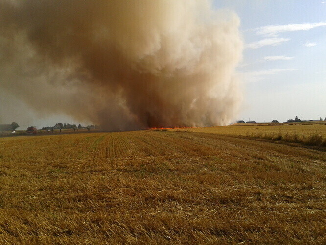 Bujny Spłonęło kilka hektarów rżyska