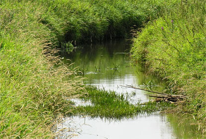 Tragedia nad Wartą niczego nie nauczyła