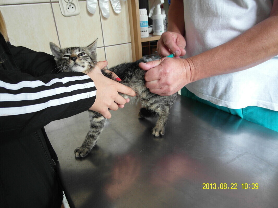 NIECHCIANE PORZUCONE ZANIEDBANE CZYLI ŻNIWO WAKACJI