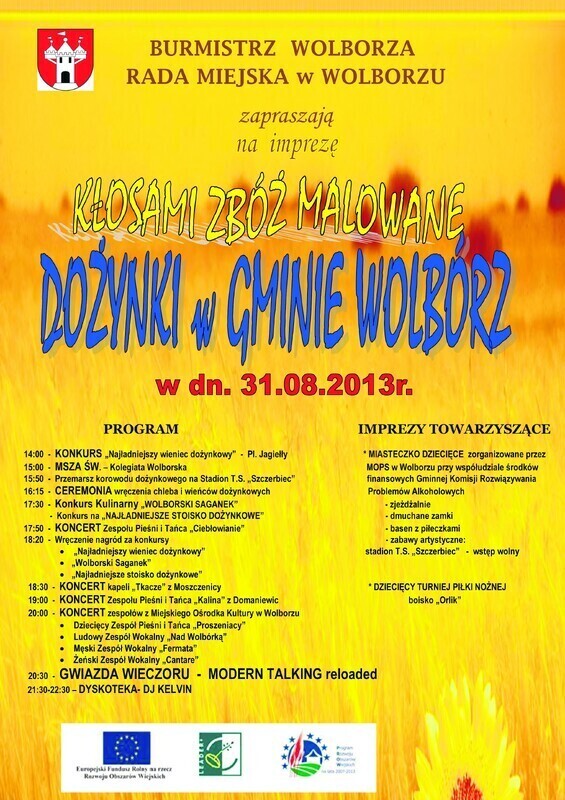 Zdjęcie 2: Dożynki w Wolborzu