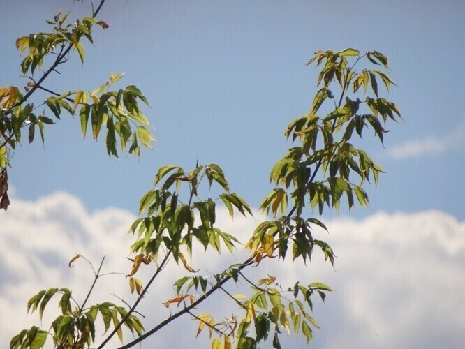 Lato skończy się w niedzielę