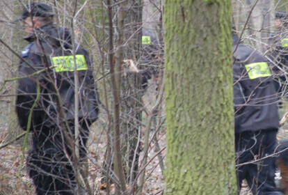 Zdjęcie 1: Nie żyje grzybiarz - ukąsił go wąż