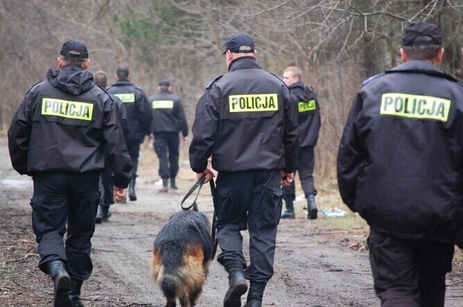 Zdjęcie 1: Poszukiwali 63-letniego grzybiarza