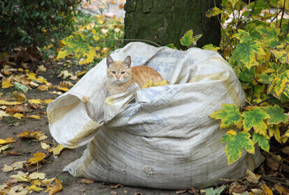 Ostatni ciepły weekend