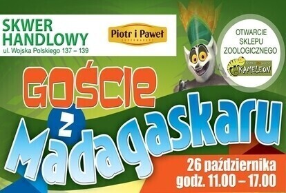 Goście z Madagaskaru