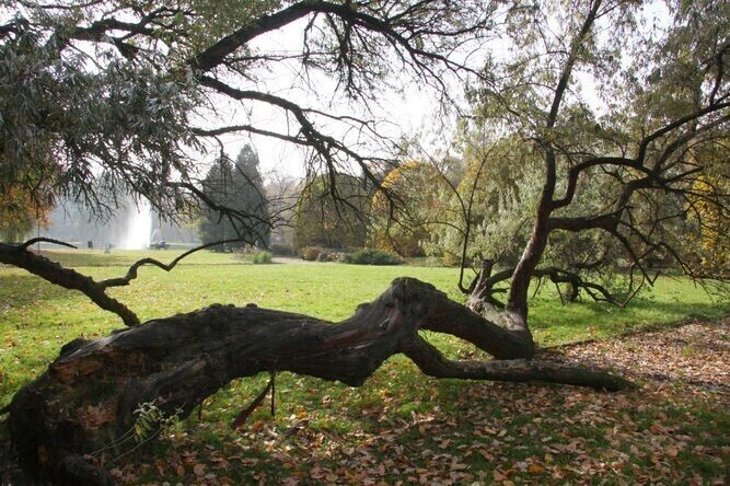 Będą rewitalizować park Poniatowskiego