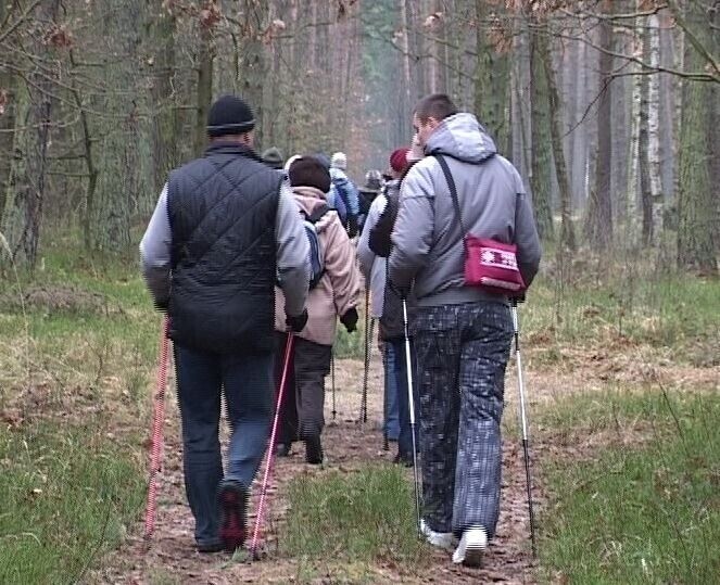 Zapisz się na jesienny nordic walking