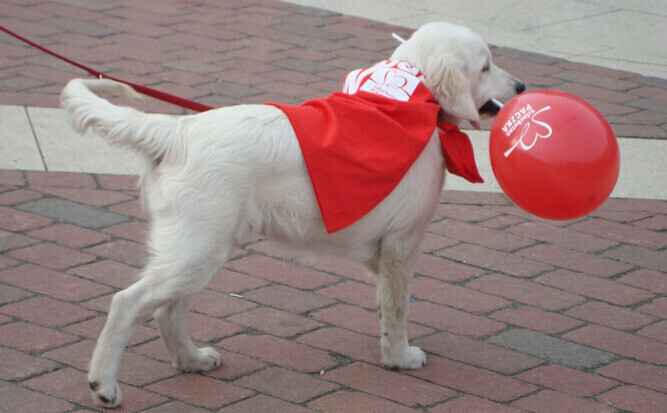Zainaugurowali Szlachetną Paczkę