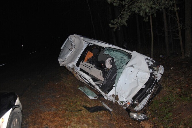 Zdjęcie 1: Zderzenie samochodu z łosiem. Kierowca w szpitalu