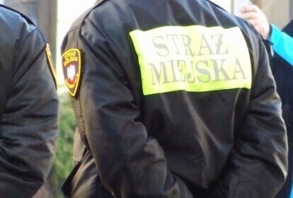 Ratownicy w Straży Miejskiej