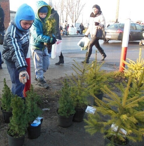 Strefa FM rozdawała swoim słuchaczom choinki w Radomsku
