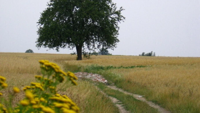 Album powiatu piotrkowskiego gotowy