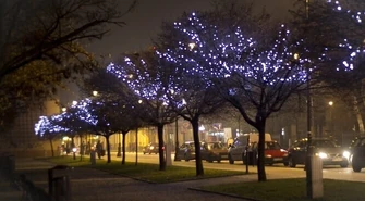 Świąteczne dekoracje za prawie ćwierć miliona