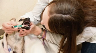 Tak zabijali swoich przyjaciół