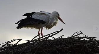 Pogoda jak w przysłowiowym Marcu. Czy się ustabilizuje ?