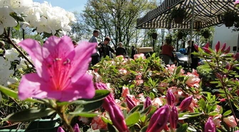 Pamiętajmy o ogrodach... - VIII Piotrkowskie Targi Ogrodnicze