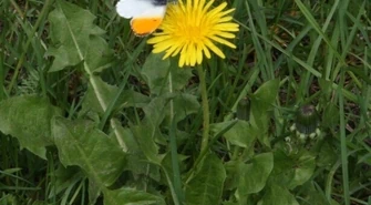 Pogoda na długi weekend