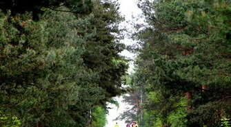 Rajd Rowerowy Odjazdowy Bibliotekarz