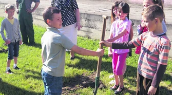 Dzień Dobrego Drzewa