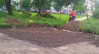 „Dlaczego wycięto te piękne drzewa?”